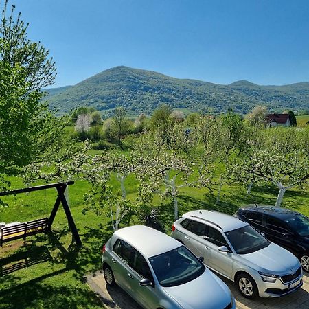 Apartment Rosandic Smoljanac Exterior foto