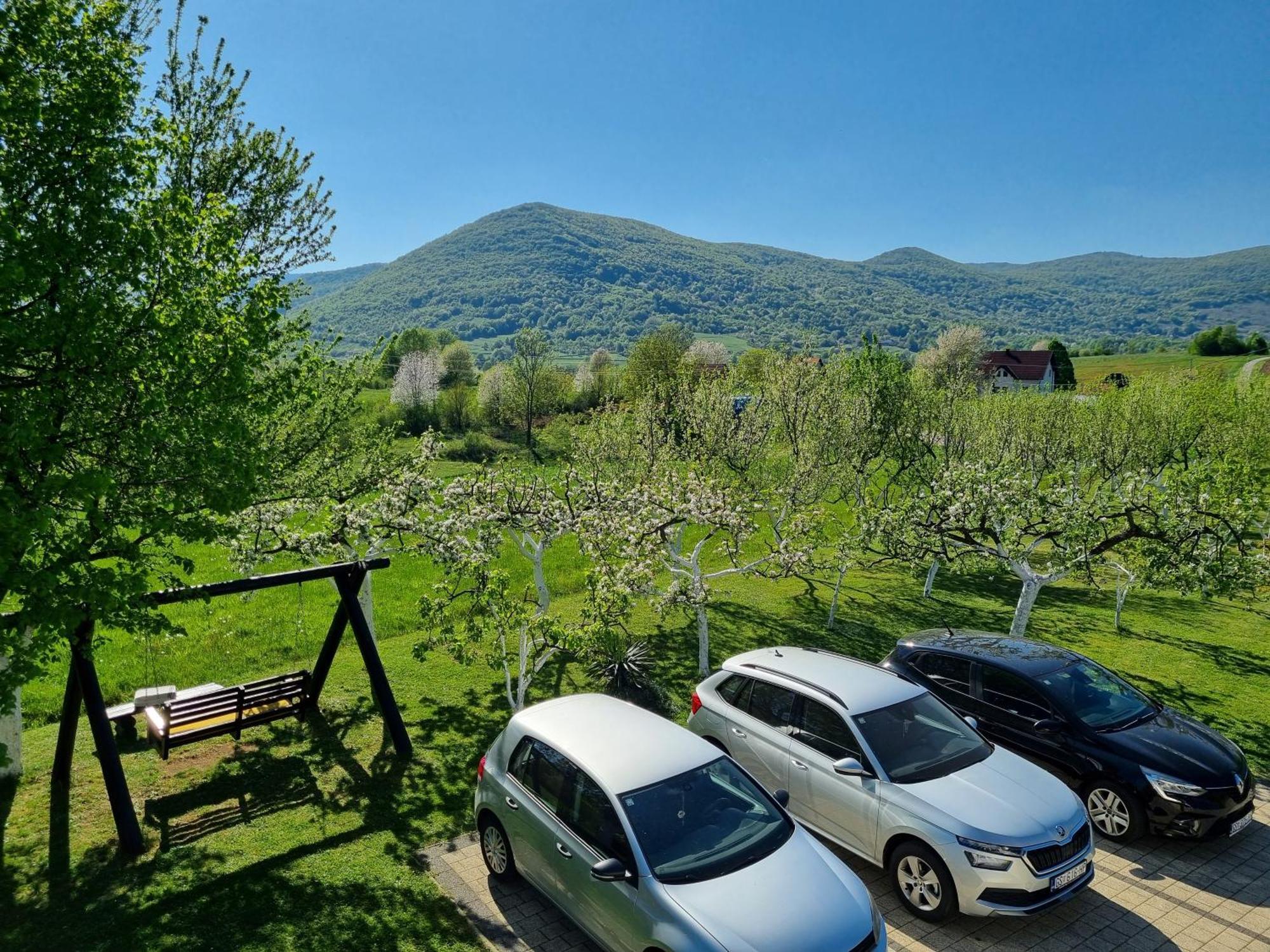 Apartment Rosandic Smoljanac Exterior foto